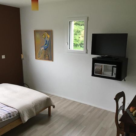 Ecublens  Montaney Guests House - Epfl Bed & Breakfast エクステリア 写真